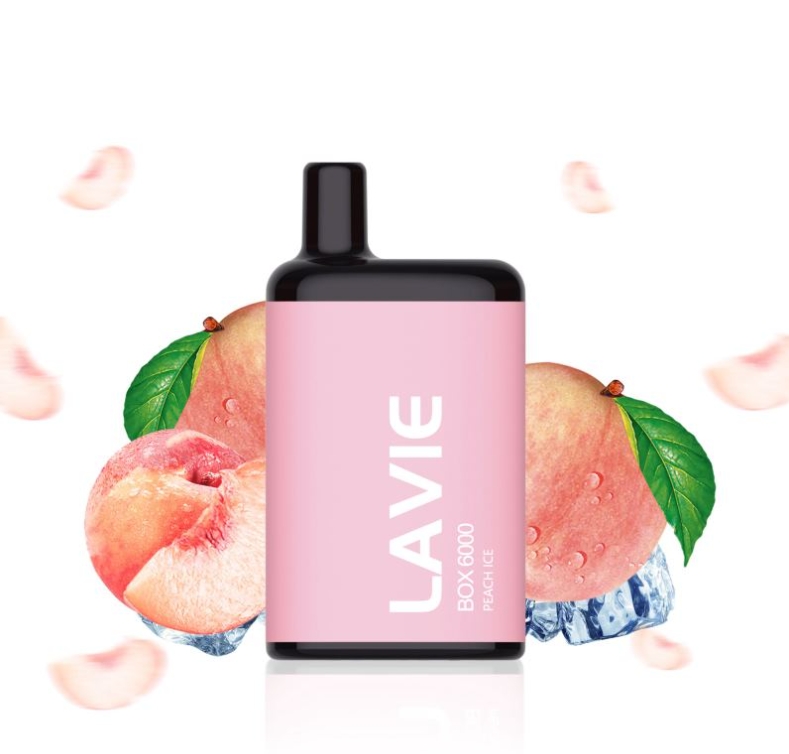 LAVIE BOX 6000: Dokonal&aacute; Symbi&oacute;za &Scaron;t&yacute;lu, V&yacute;konu a Chuti